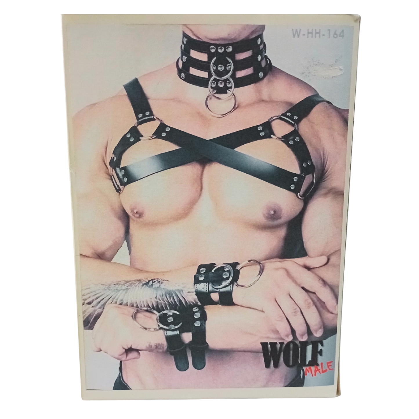 Arnés para Hombre de Pecho, Muñecas y Cuello Wolf Male